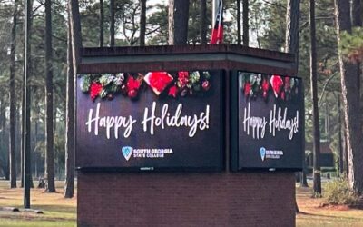 Holiday Sign Maintenance Tips to Keep Your Business Bright This Season